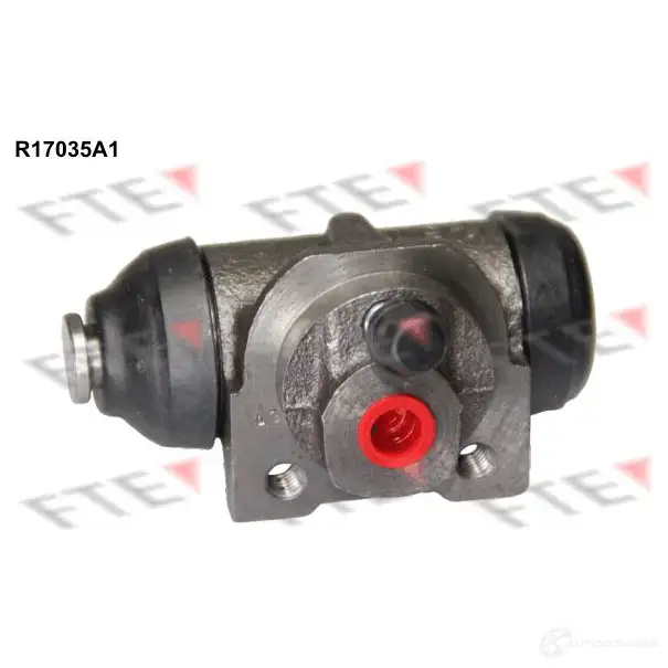 Рабочий тормозной цилиндр FTE 5G BH3 4028569300023 R17035A1 611384