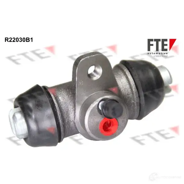 Рабочий тормозной цилиндр FTE 611648 S6025 R22030B1 602 5