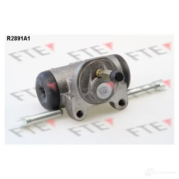 Рабочий тормозной цилиндр FTE S27 4 1193626887 R2891A1 Y1PRA
