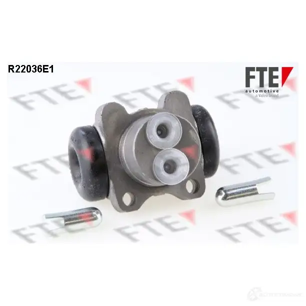 Рабочий тормозной цилиндр FTE R22036E1 600 8 S6008 611653