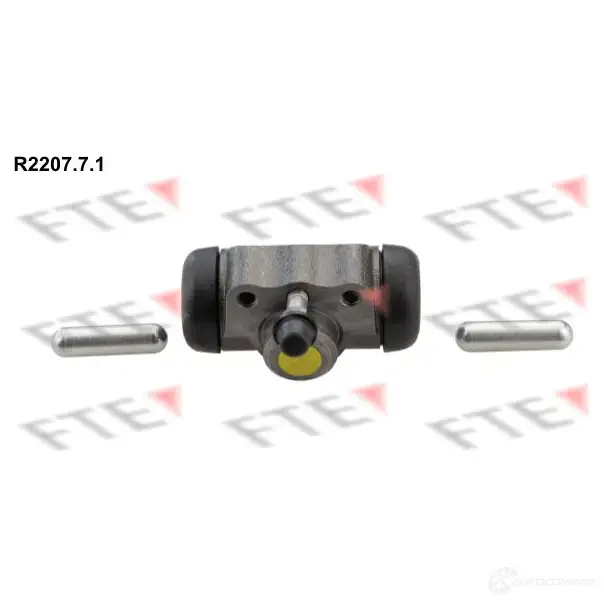 Рабочий тормозной цилиндр FTE 611666 1EODQUC S3 8 R2207.7.1