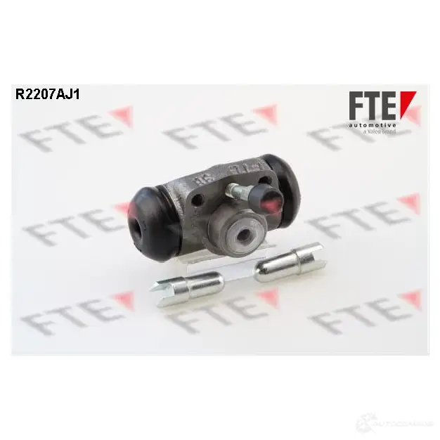 Рабочий тормозной цилиндр FTE S 38 JGD39N 611673 R2207AJ1
