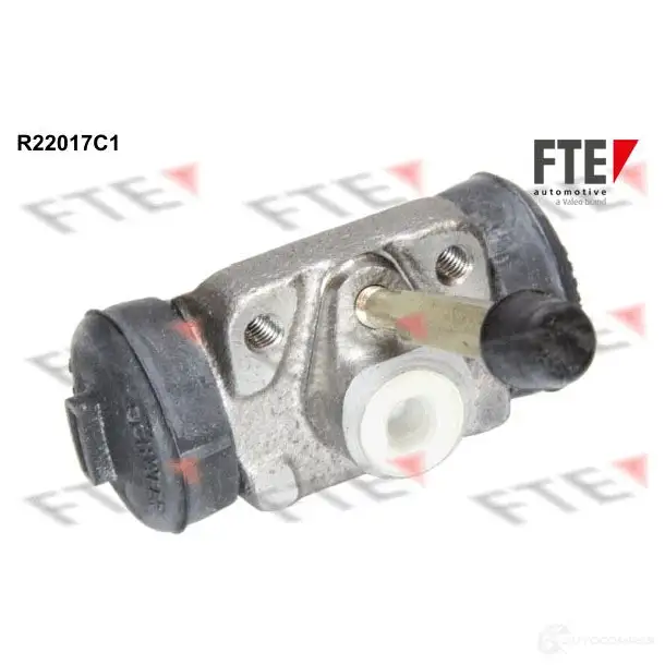 Рабочий тормозной цилиндр FTE S 533 R22017C1 ERHJTG 611646