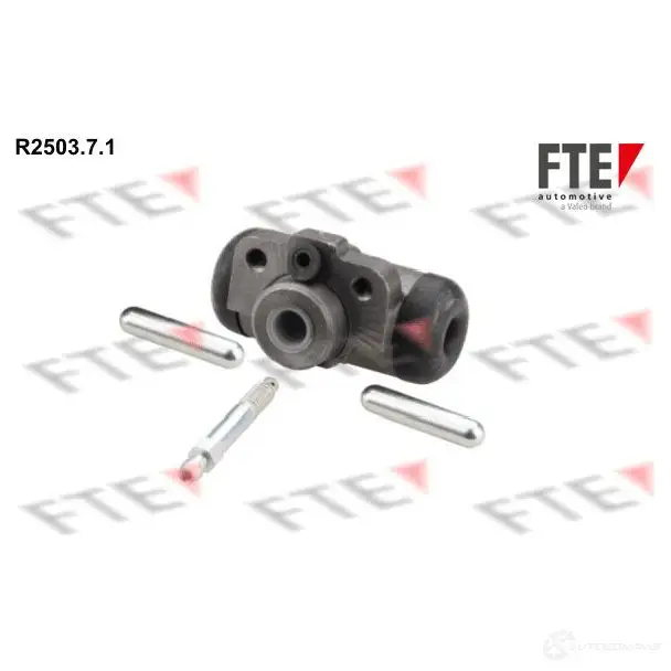 Рабочий тормозной цилиндр FTE RFHC77 R2503.7.1 611727 S17 1