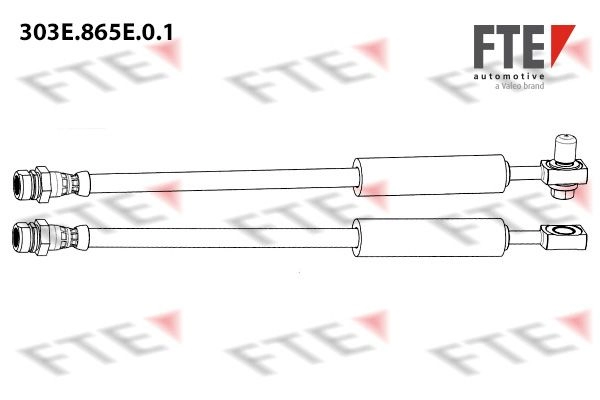 Тормозной шланг FTE 1440289293 0NJQM 7 303E.865E.0.1