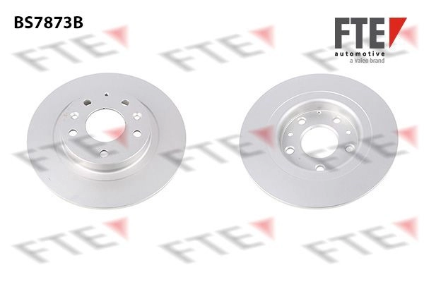 Тормозной диск FTE 1440289619 BS7873B YVF H4 изображение 0