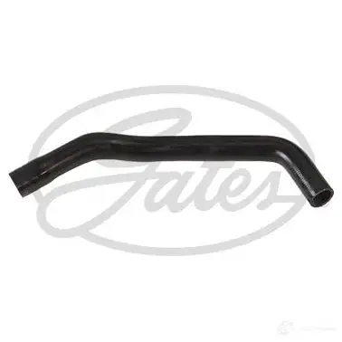 Патрубок радиатора, шланг GATES 054248 GW FLF59 1437408244