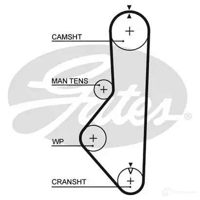 Ремень ГРМ GATES 5412571003185 O91J Z8 405822 5085 изображение 0