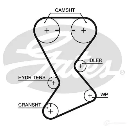 Ремень ГРМ GATES 40 VPPZW t246rb 1437931137 изображение 0