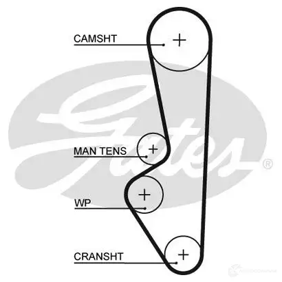 Ремень ГРМ GATES t152rb 1437931157 6VLH WF3 изображение 0