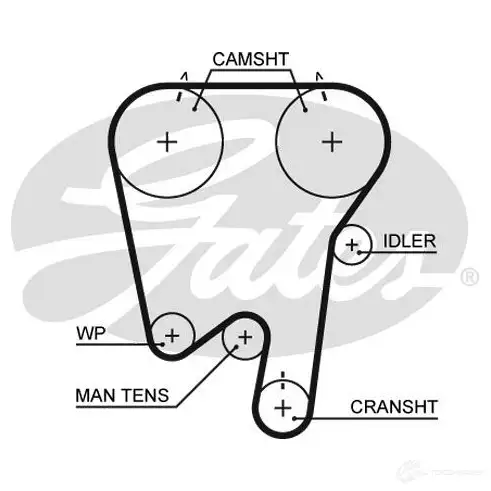 Ремень ГРМ GATES 5343xs B3 1VS 5412571009453 406013 изображение 0
