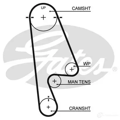 Ремень ГРМ GATES t244rb 1437931232 D 8ZIMV3 изображение 0
