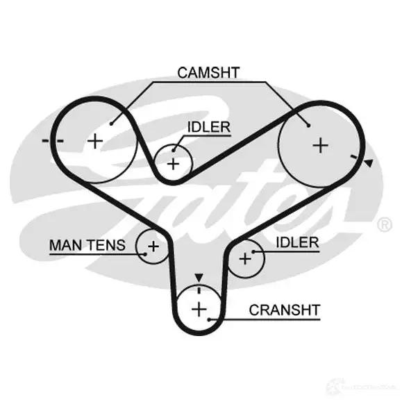 Ремень ГРМ GATES 5342xs 5412571009446 406012 5JQC 2 изображение 0