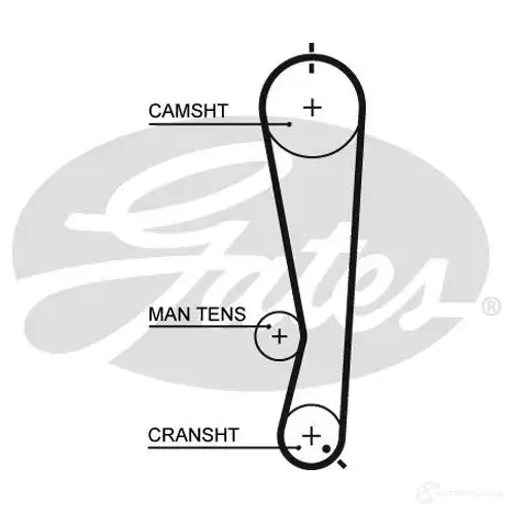 Ремень ГРМ GATES 406239 5591xs 9ZTQ7 A 5414465233166 изображение 0