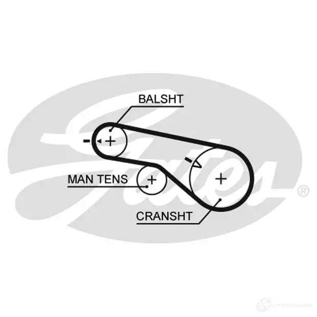 Комплект ремня ГРМ GATES 5570X S 408913 T313 k01t313 изображение 0