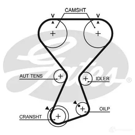 Комплект ремня ГРМ GATES 5570X S 408913 T313 k01t313 изображение 2