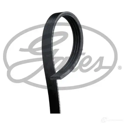 Приводной ремень, поликлиновой GATES k040335rpm 1437931462 5G O5H - Изображение 1
