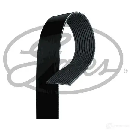 Приводной ремень, поликлиновой GATES 12pk2500hd 1437430822 VI IIIR4 - Изображение 1