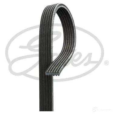 Приводной ремень, поликлиновой GATES 6D PK1360 6dpk1360 407033 3WM6PCT - Изображение 1