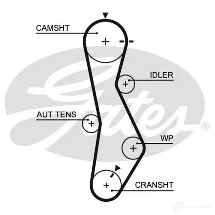 Комплект ремня грм с водяным насосом GATES 5579 XS 410719 kp15579xs2 T42141 изображение 9