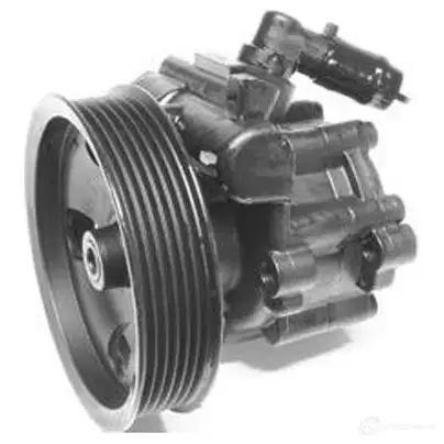 Насос Гур GENERAL RICAMBI BF2 3VXY 2486894 PI1002