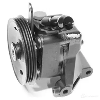Насос Гур GENERAL RICAMBI 2486892 6N2HSI 3 PI1000