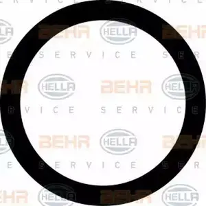 Комплект уплотнительных колец HELLA 9GR 351 289-911 G5Y3FN 52032 _BEHR HELLA SERVICE_