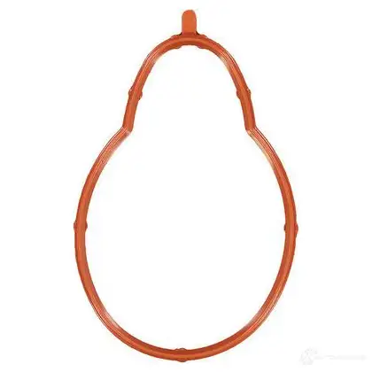 Прокладка впускного коллектора GLASER 8429020831357 929488 X58950-01 R AUAO