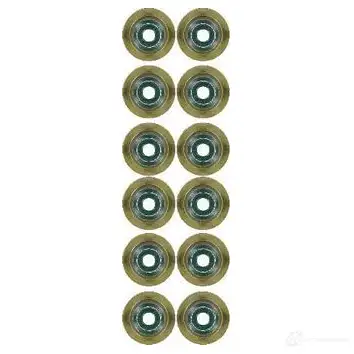 Маслосъемные колпачки GLASER 0HQ S1 923089 N93123-00