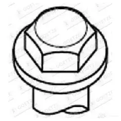 Болты ГБЦ, головки блока цилиндров GOETZE KG 1ES 700263 2201310b