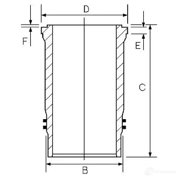 Гильза цилиндра GOETZE 2784072 14-451160-00 K3HA1 PR изображение 0