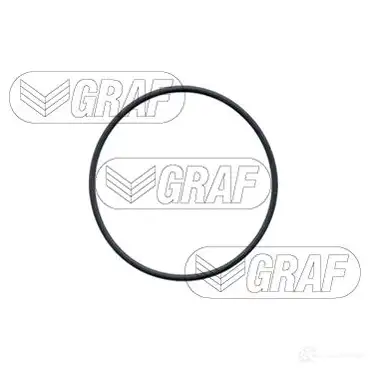 Водяной насос, помпа GRAF DVC 0S 8032747265116 2459925 PA683 изображение 1