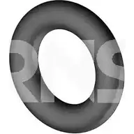 Стопорное кольцо, глушитель ERNST 492041 7DQQA6 I15I NQ 300723