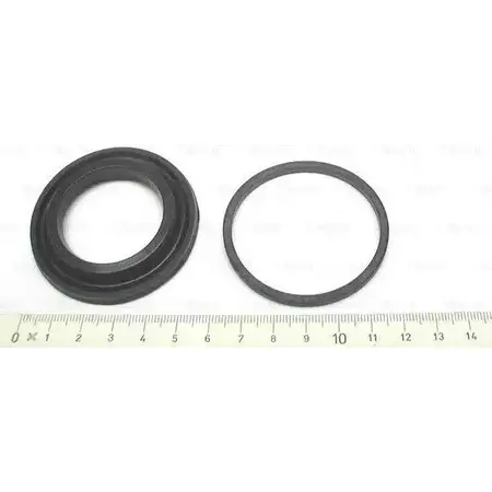 Ремкомплект суппорта Bosch 0 204 104 184 R G680 EVS11 307016