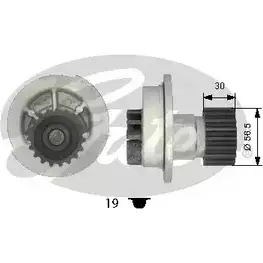 Водяной насос, помпа GATES FDM7Z WP0059 413636 FITG GV изображение 0