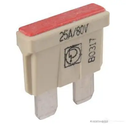 Предохранитель HERTH+BUSS HBAY3BK 50295856 FKS -80 821451