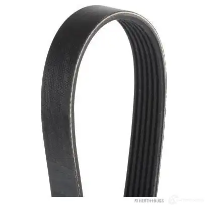 Приводной ремень, поликлиновой HERTH+BUSS 6PK8 83 B0QDG j1060883 616562 изображение 0
