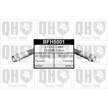 Тормозной шланг QUINTON HAZELL WMS R0F BFH5001 648679 7KVZR6 изображение 0