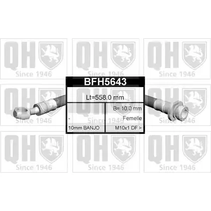Тормозной шланг QUINTON HAZELL BFH5643 KNM4 E54 IMKEX 649119 изображение 0