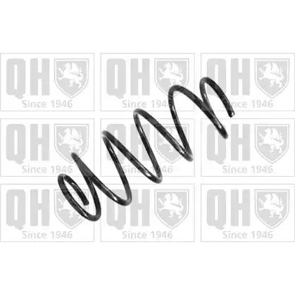 Пружина QUINTON HAZELL HH7E11 904 LS QCS5820 666727
