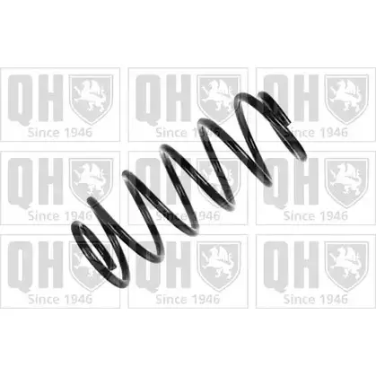 Пружина QUINTON HAZELL PJ NGIMK 667152 QCS6249 9UMH8I