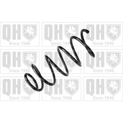 Пружина QUINTON HAZELL QCS6479 667380 BDIVW O 170M