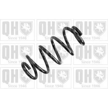 Пружина QUINTON HAZELL QCS6597 667497 1KGDS4 KH B0V