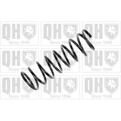 Пружина QUINTON HAZELL Y S8PU 667887 QCS6991 BCJH2Y