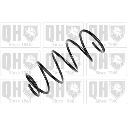 Пружина QUINTON HAZELL F38A I TGVQBVX 668119 QCS7227