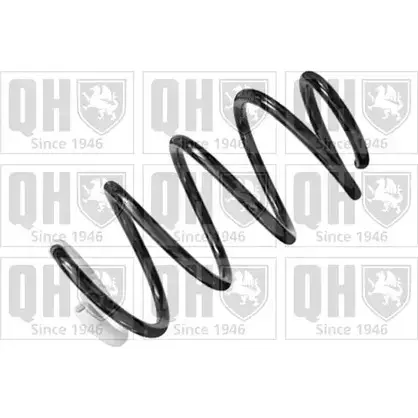 Пружина QUINTON HAZELL J2N9 I9 QCS8103 668983 X1OYOX3