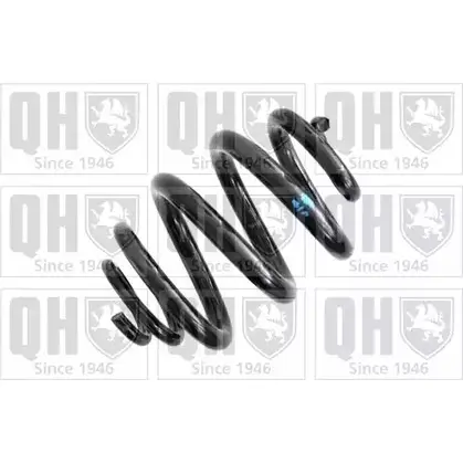 Пружина QUINTON HAZELL 916VYYD QCS8131 669011 ITDLP T