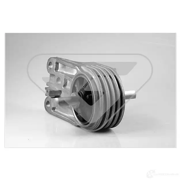 Кронштейн двигателя HUTCHINSON 3159750591539 532a06 1983522 P5DIT SH