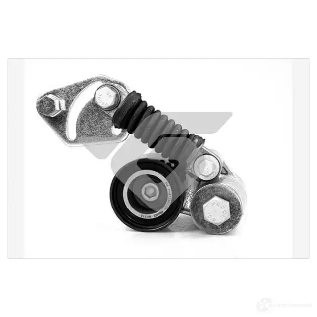 Натяжной ролик приводного ремня HUTCHINSON t5014 3159750650489 1988204 B AXUU изображение 0