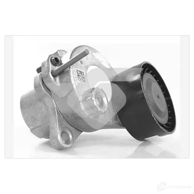 Натяжной ролик приводного ремня HUTCHINSON t0695 3159750830034 O QY3NH 1220862838